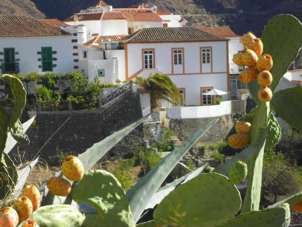 Casa Rural Las Cascaras Tejeda  Eksteriør bilde